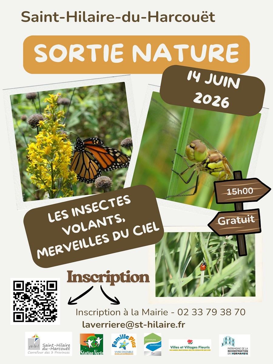 Sortie nature : Les insectes volants, merveilles du ciel — visuel événement