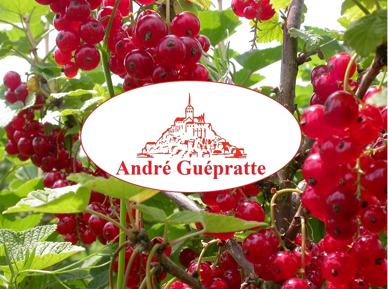 Sarl André Guépratte