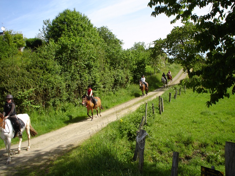 Centre Equestre du Manoir, Les Loges-Marchis - photo 2