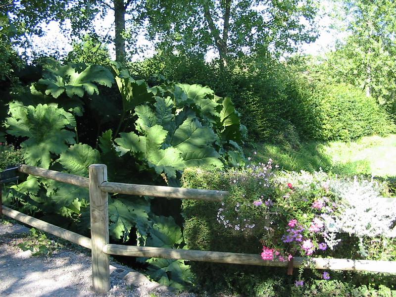 Aire de camping-car > Camping municipal Le Vieux Château - photo 3