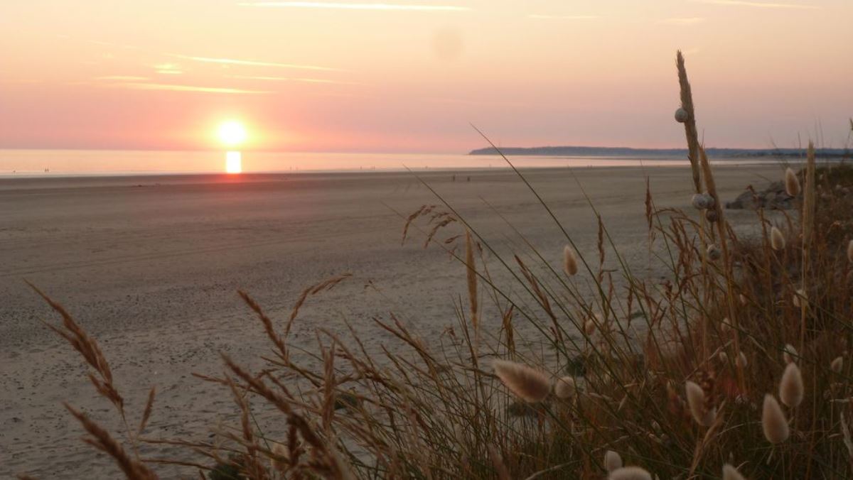 Meublé de tourisme > La Maison bleue de mer, La Haye - photo 13