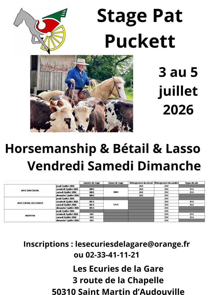 Stage équitation western
