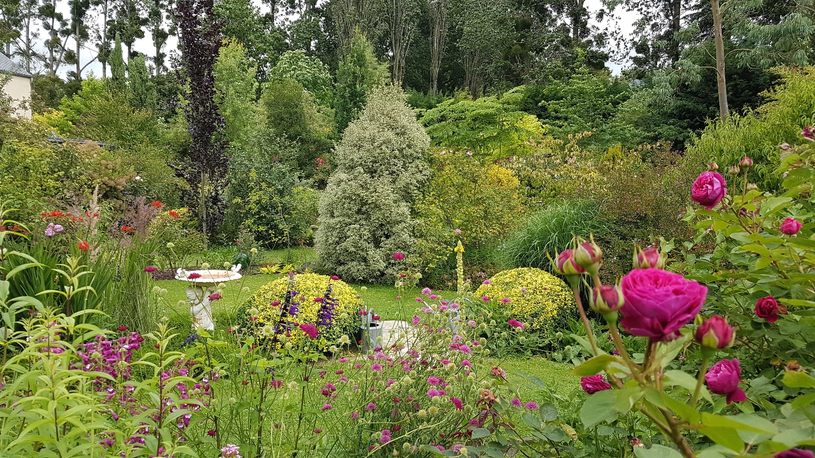 Jardin des Sources, Vaux-sur-Seulles - photo 3