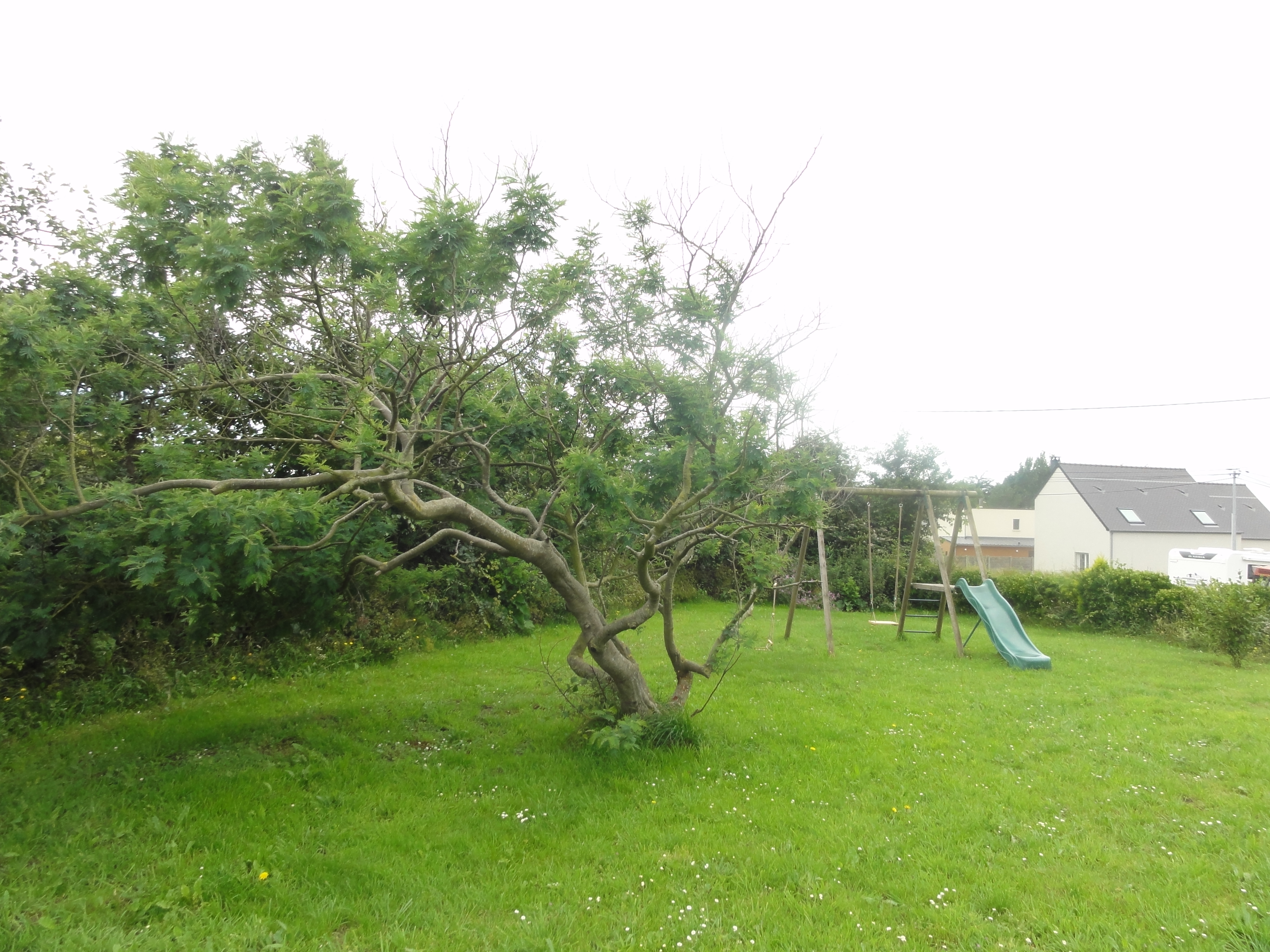 Meublé de tourisme > Le Bas de Clibec, Surtainville - photo 2