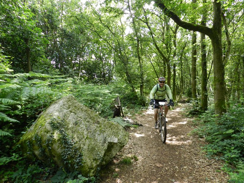De Tatihou au Mont-Saint-Michel - Saint-Sauveur-le-Vicomte / Périers