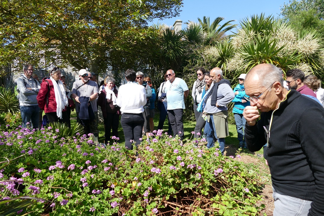 Empreintes-Encapsuler un jardin-Eveil