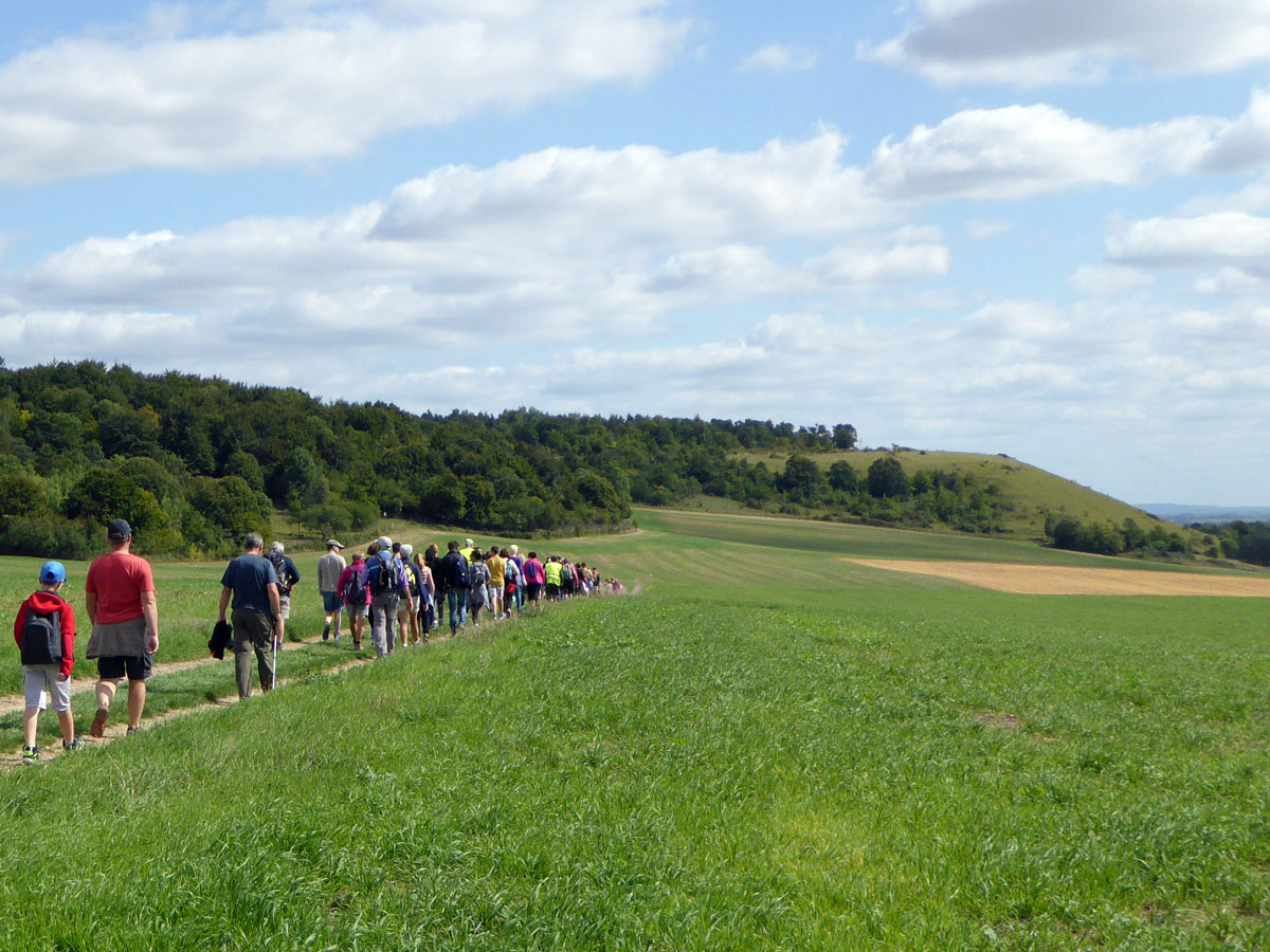 Les Terres Noires, Damblainville