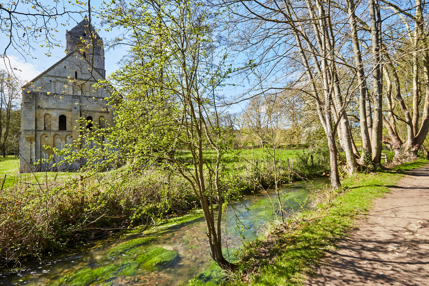 Balade botanique aux abords de la vieille église de Thaon | RDV Découverte