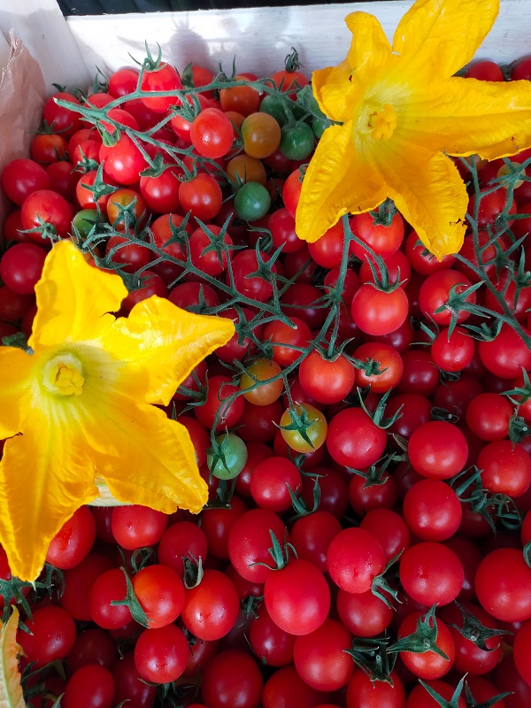 Au champ bio - photo 3