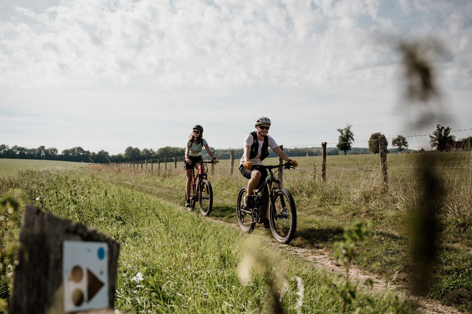 LE PIN : le Plateau de Moyaux - 37 Km D 287 m