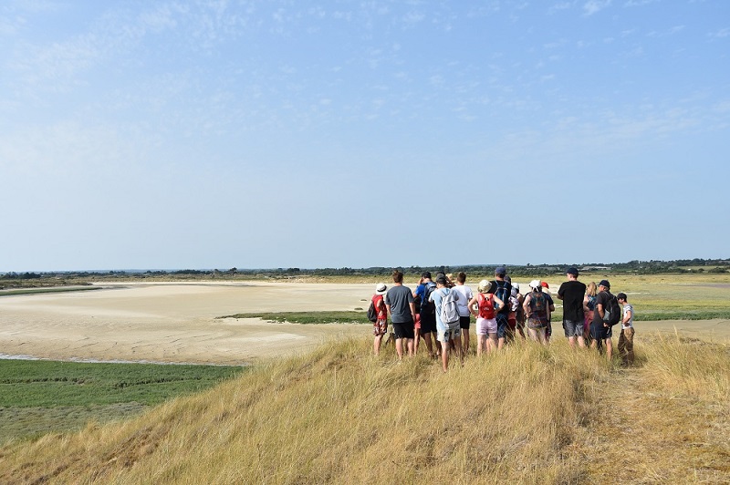 Sortie nature : Traversée du havre de Surville