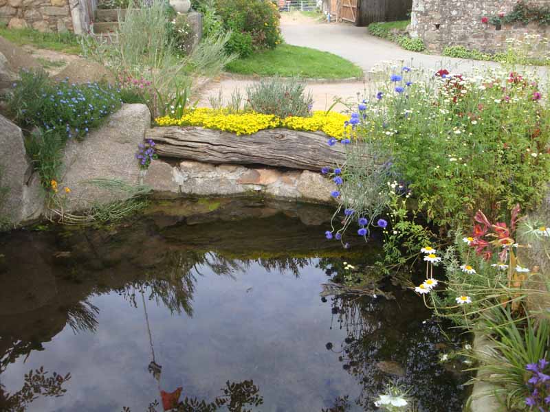 Chambre d'Hôtes > La Safrenée, Tréauville - photo 13