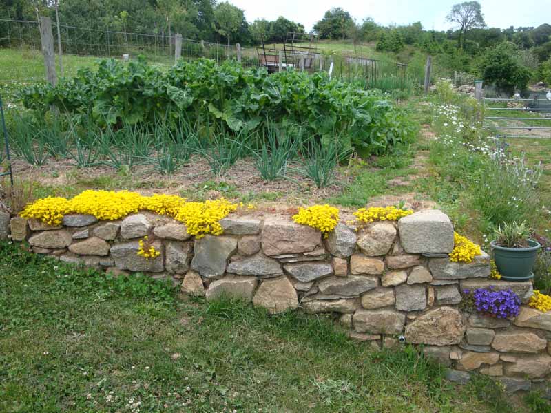 Chambre d'Hôtes > La Safrenée, Tréauville - photo 10