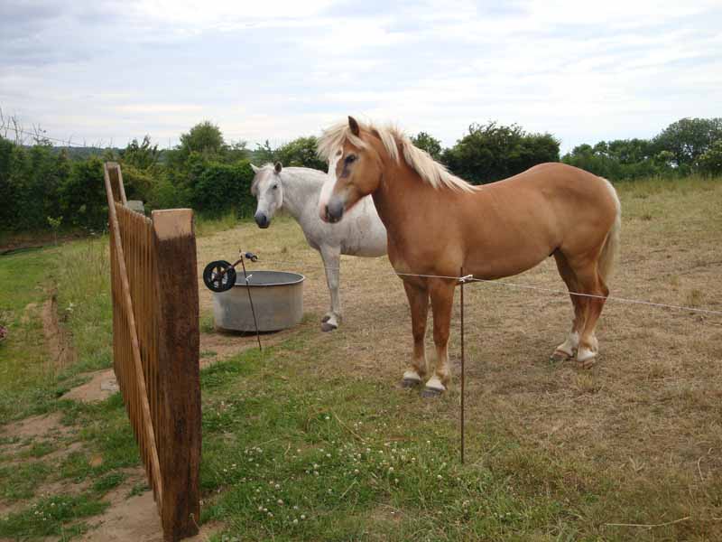 Chambre d'Hôtes > La Safrenée, Tréauville - photo 4
