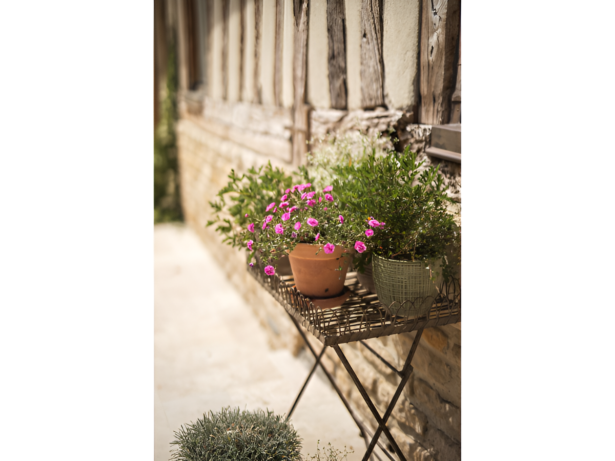 Domaine Le Coq Enchanté - Le Trésor