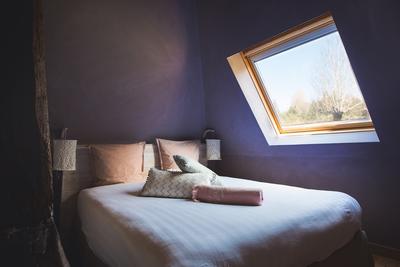 Domaine Le Coq Enchanté - Le Trésor, Cambremer - photo 5