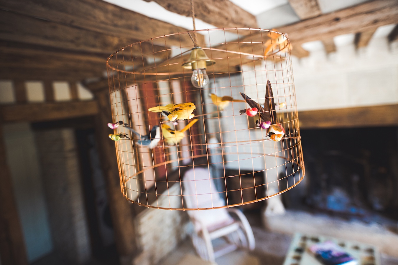 Domaine Le Coq Enchanté - Le Trésor, Cambremer - photo 4