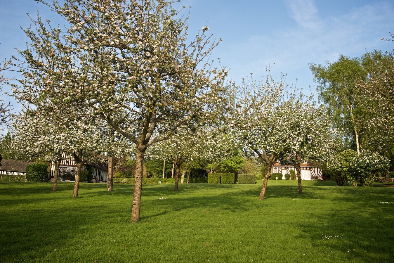 Domaine Le Coq Enchanté - Le Trésor, Cambremer - photo 2