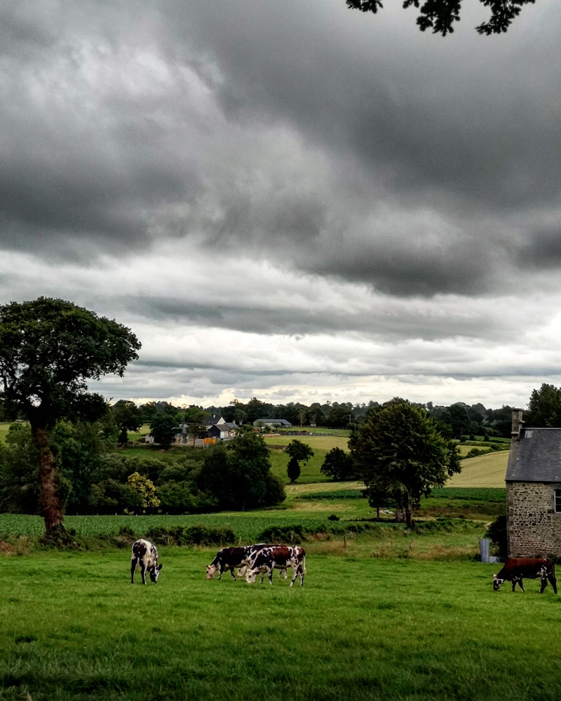 La Ceinture Verte de Villedieu