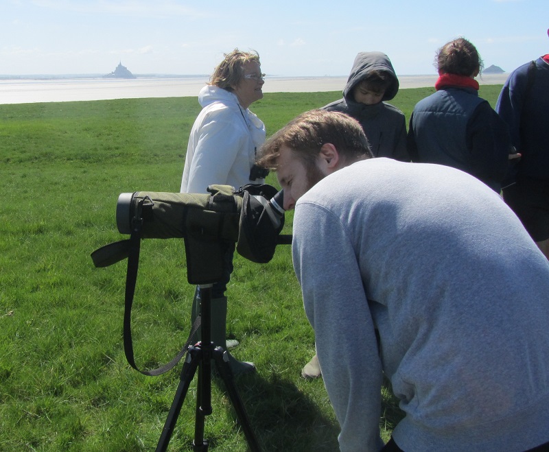 Péservons les zones humides - Observation des oiseaux
