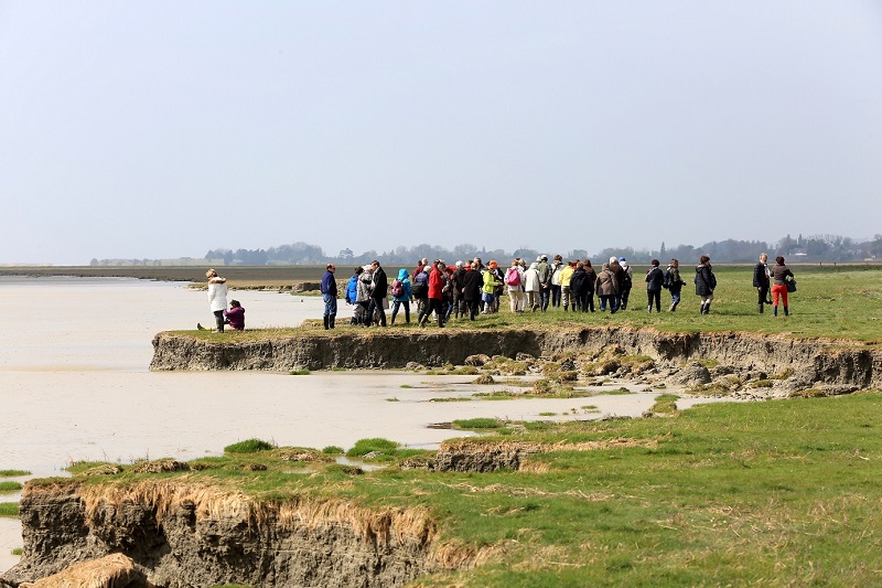 P'tite sortie prés salés