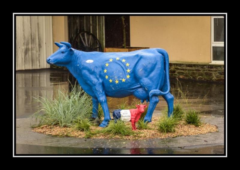 La Ferme des Cara-Meuh !, Vains - photo 3