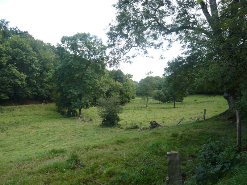 La vallée du Tortillon, Valdallière