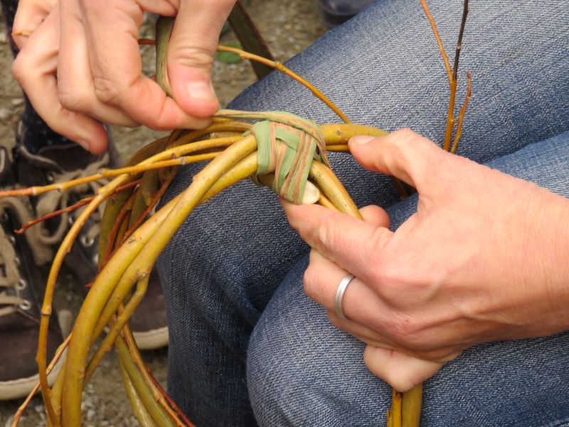 Atelier-parimoine (ados et adultes) : vannerie sauvage