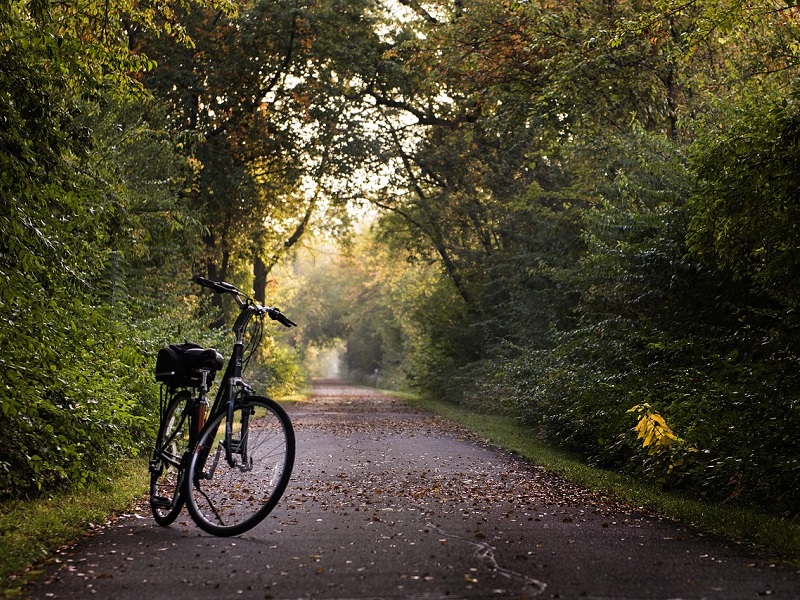 Fête du vélo
