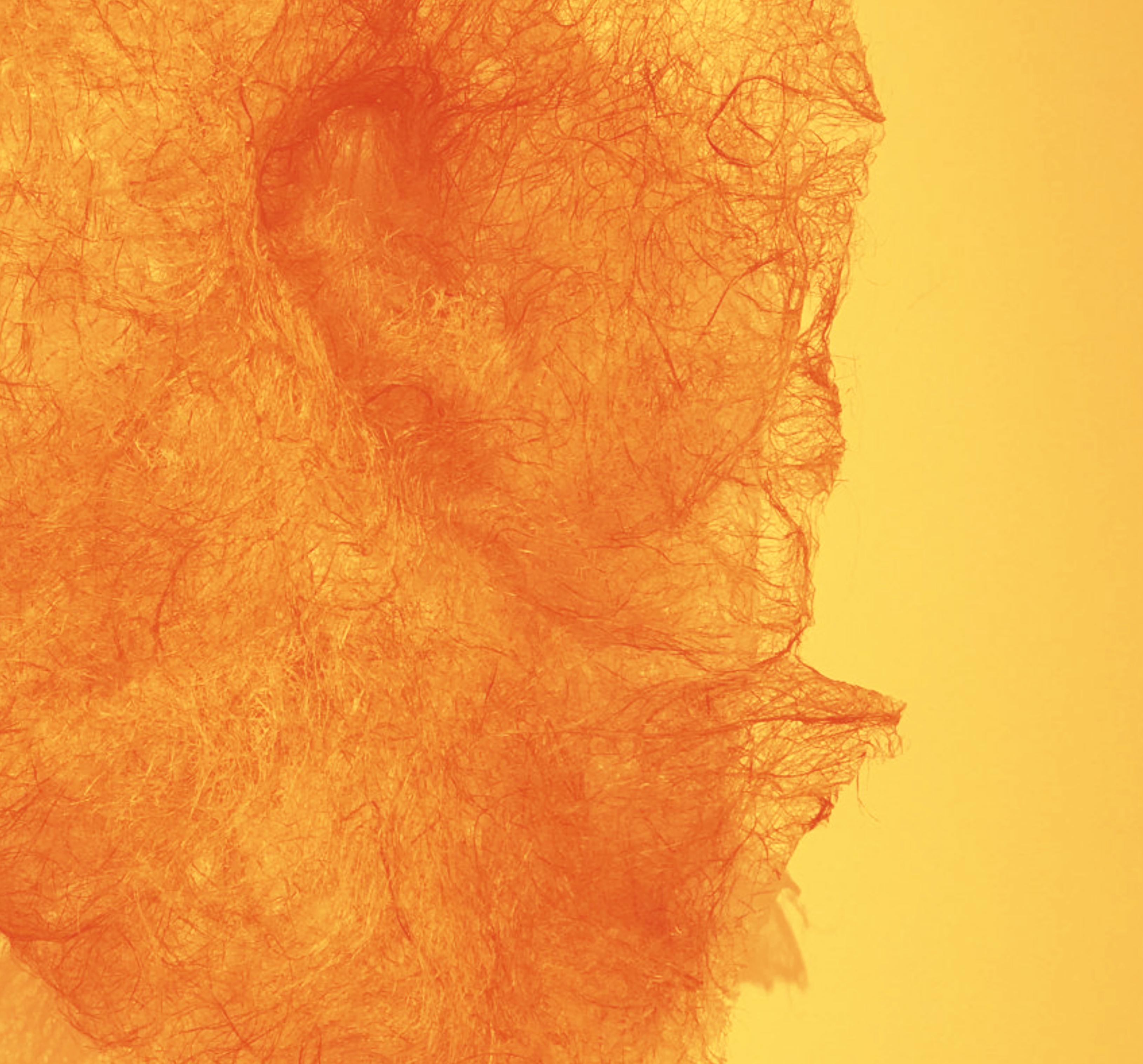 [Exposition] "Vers le soleil" de Anne-Sophie Menet