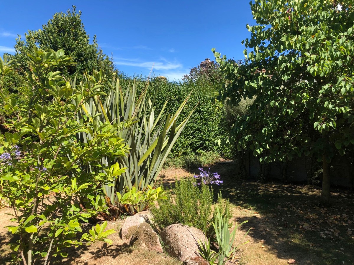 Meublé de tourisme > La Maison de Simone, Vicq-sur-Mer - photo 7