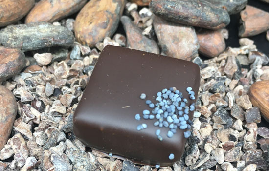 Vignette - Hautot Chocolater