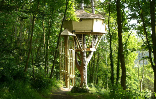 Vignette - Sherwood Tree
