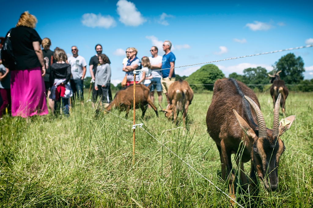 Ferme de la Chèvre Rit