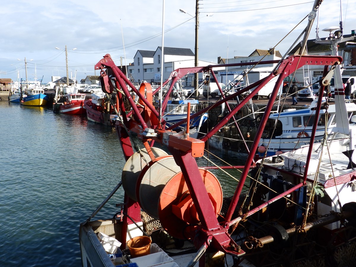 GROUPE Visite du port de Grandcamp-Maisy