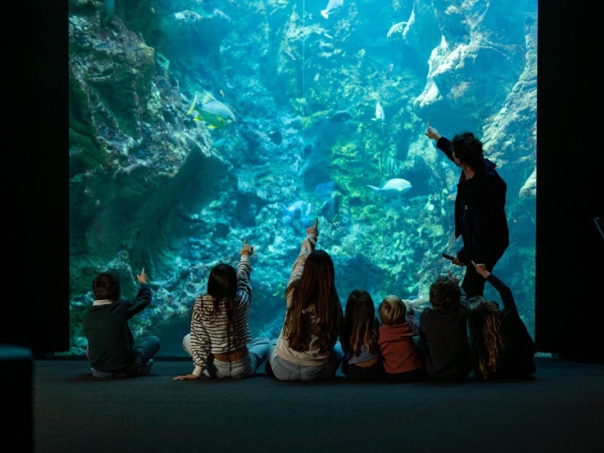 La Cité de la Mer, Cherbourg-en-Cotentin - photo 10