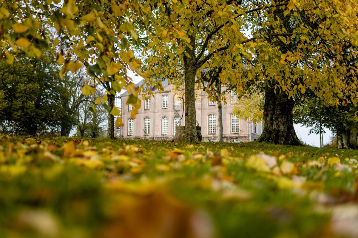 Visite guidée du château de Carneville