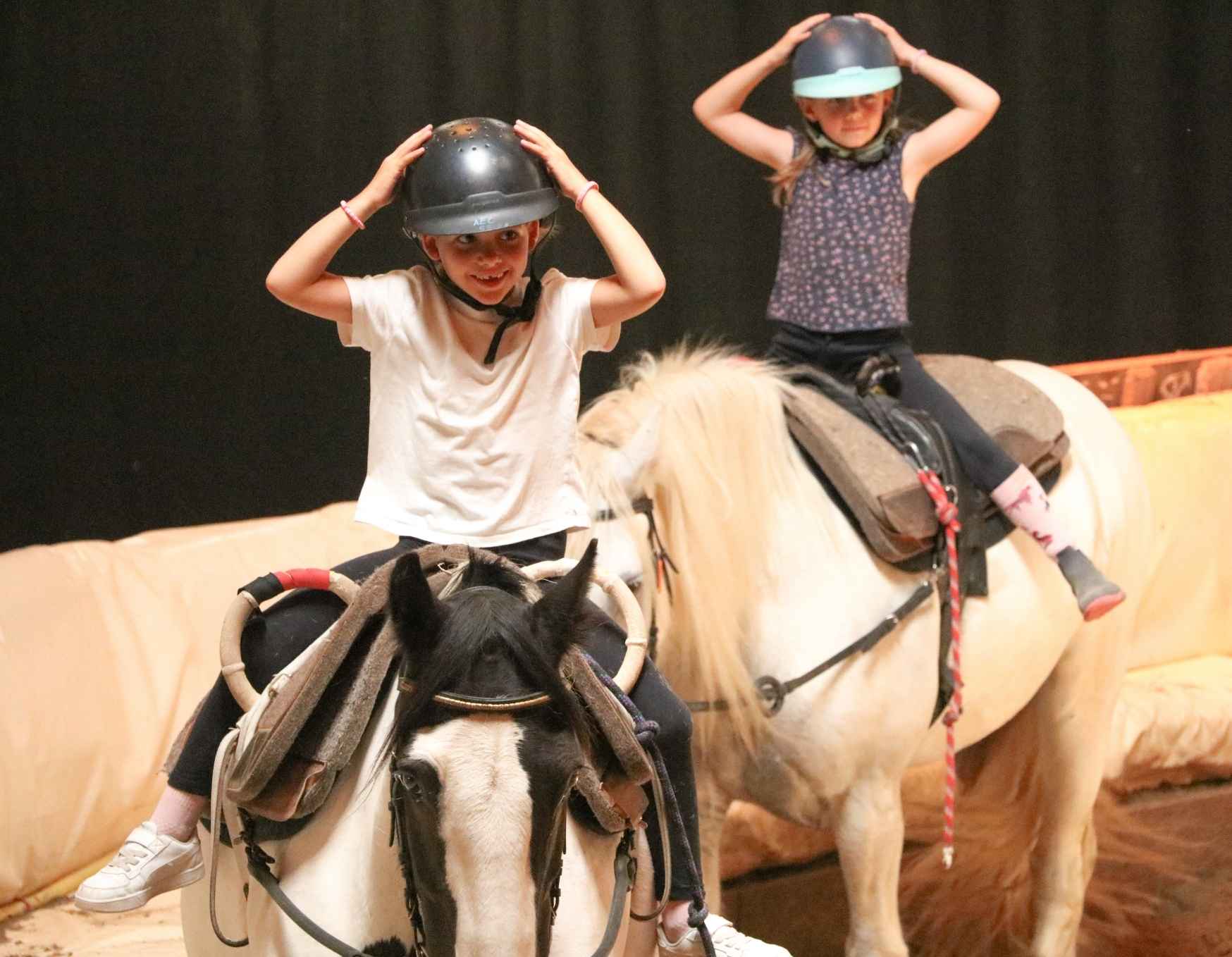 Découverte de la voltige ou de l'équitation comportementale