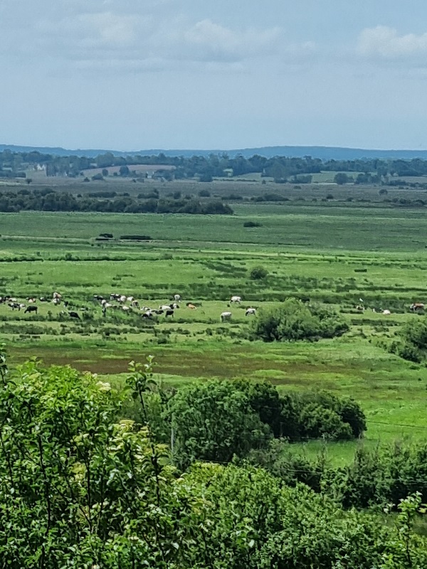 Chambres d'hôtes > La Maison du Mont, Graignes-Mesnil-Angot - photo 8