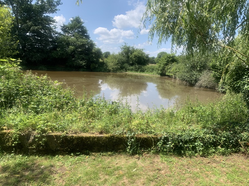 GITE LE WISHING WELL
