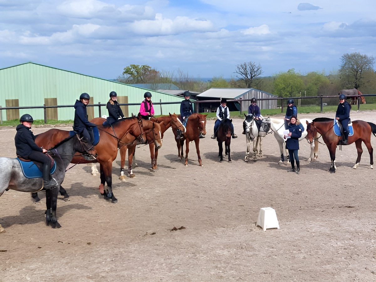 Balade, cours, stages à cheval et/ou poney, Noues de Sienne - photo 2