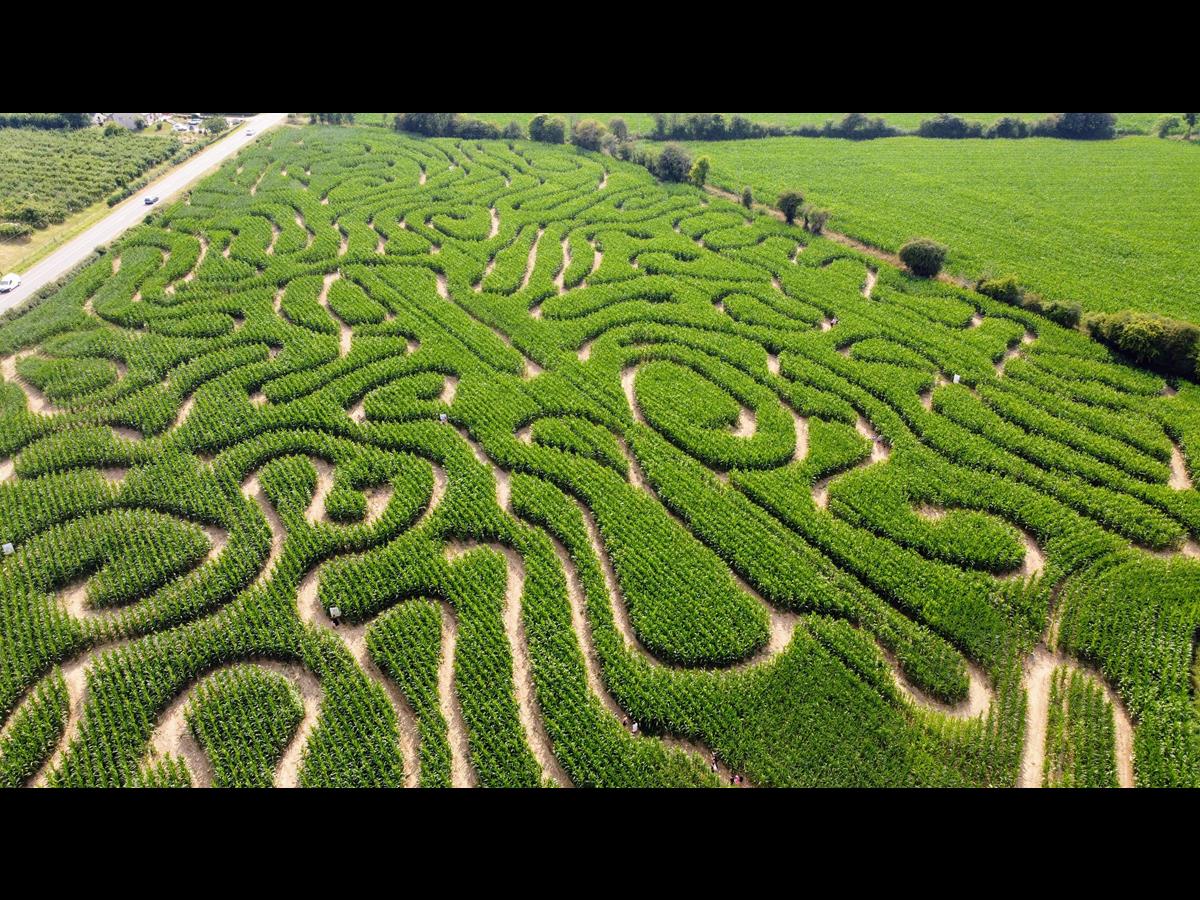 Labyrinthe végétal du Cotentin > La Clé des Champs