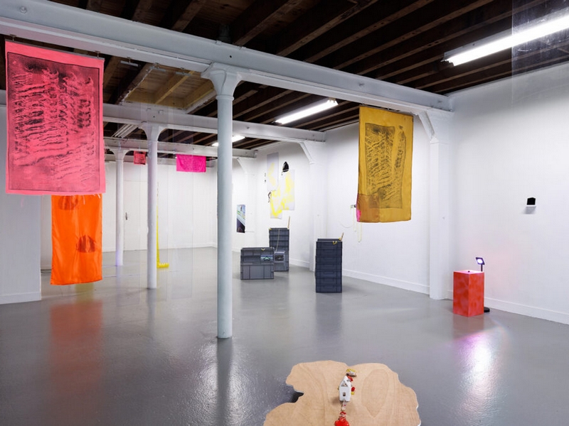 Visite de l’exposition « Supra-minéral » avec Elisa Barbier