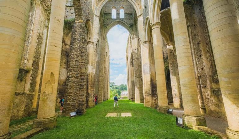abbaye de hambye teddy bear photos (6) abbaye de hambye teddy bear photos (6)