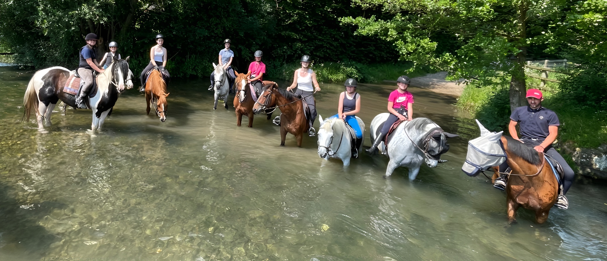 Centre Equestre Optimum Horses