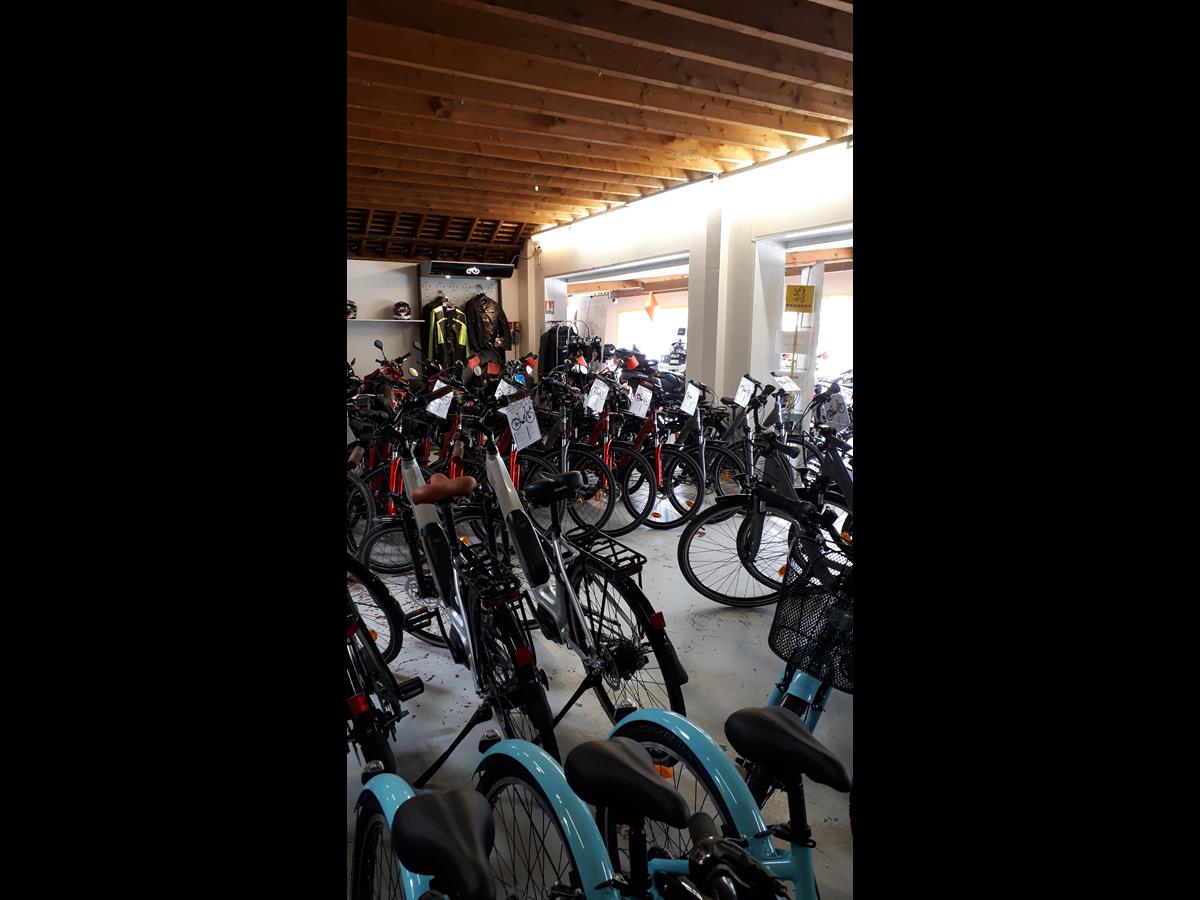 Location de vélos > Ets Sébastien Massieu, Quettehou - photo 5