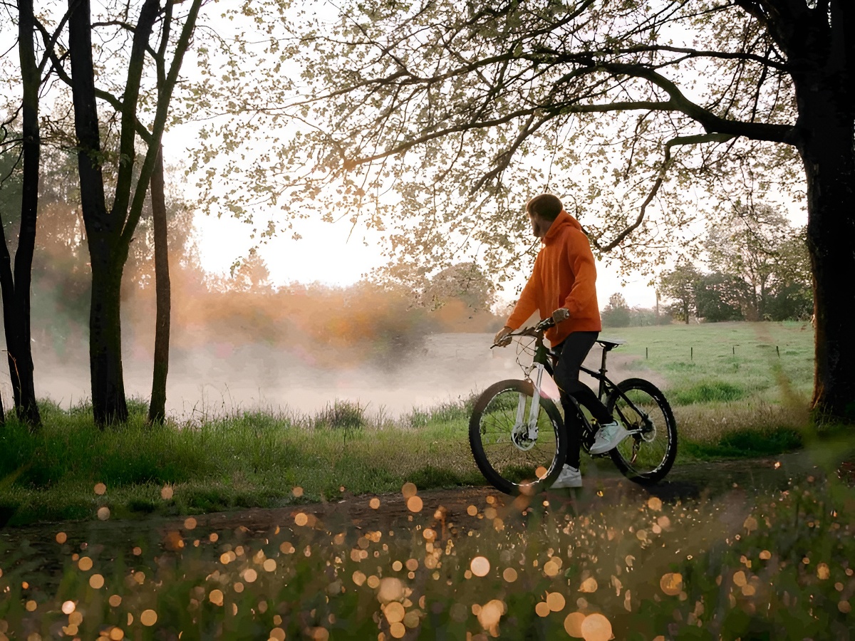 L'Etape en Forêt - Domaine d'Hébergements insolites, Noues de Sienne - photo 16