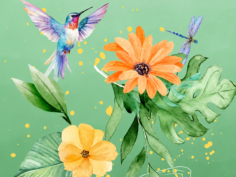 Jeu de piste : "Sur la piste du colibri"