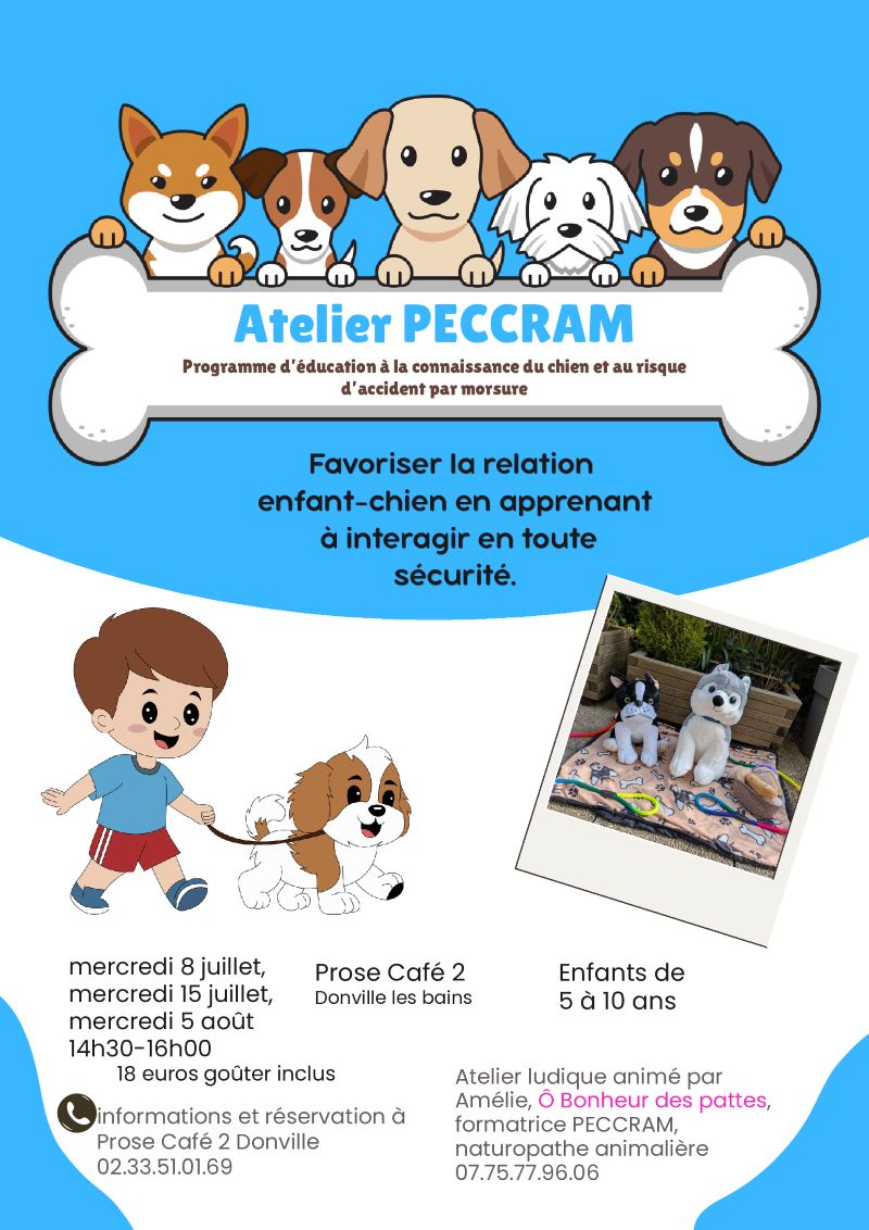 Atelier ludique pour comprendre le comportement canin