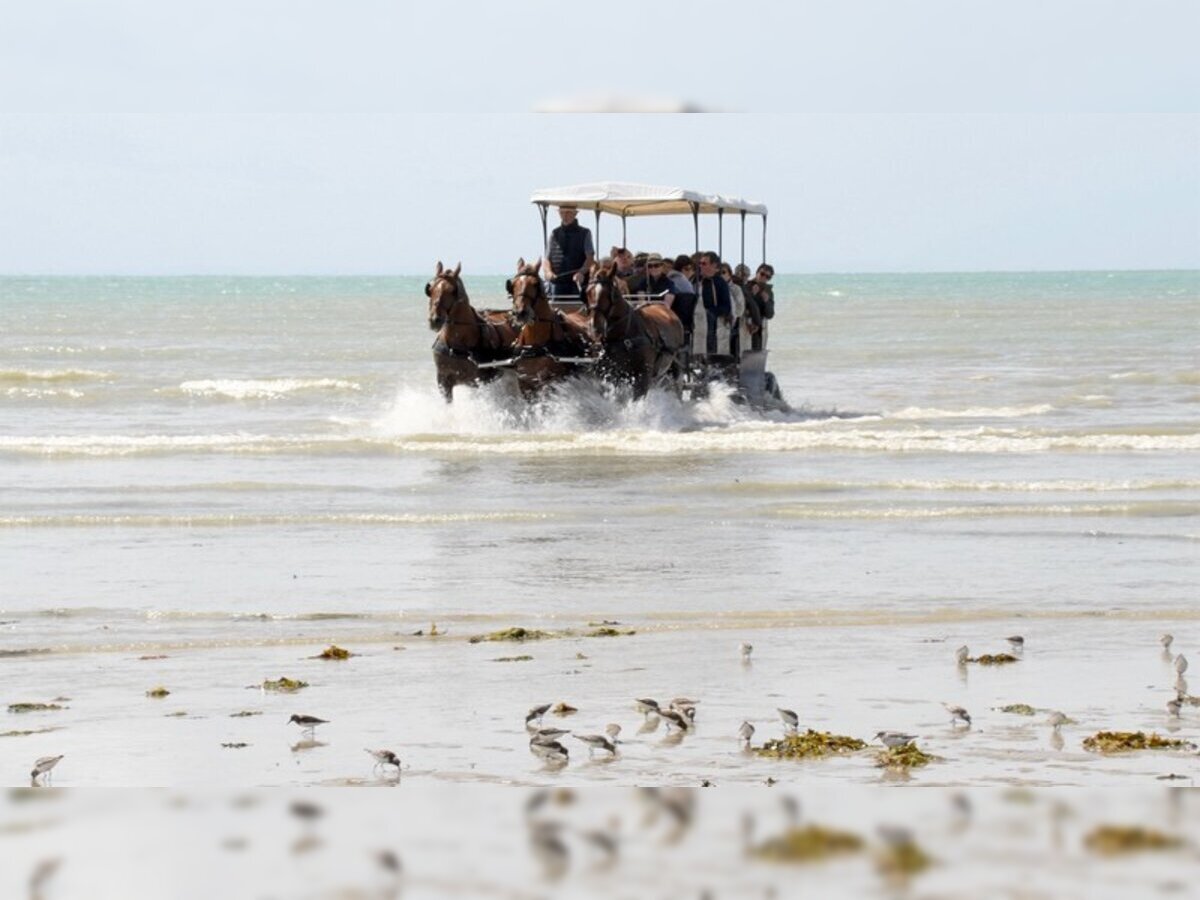 Attelages des Grandes Marées